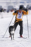 Lenk 2013